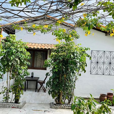 Apartament Casa Tua Pipa Praia de Pipa Zewnętrze zdjęcie
