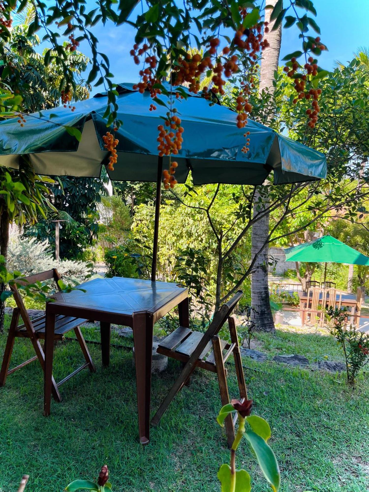 Apartament Casa Tua Pipa Praia de Pipa Zewnętrze zdjęcie
